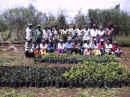 community_nursery.jpg (30489 bytes)