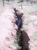 erosion_ gully.jpg (22976 bytes)