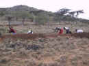 maasai_ workers_ 3.jpg (20690 bytes)