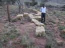 straw_ bales_ retaining.jpg (24419 bytes)